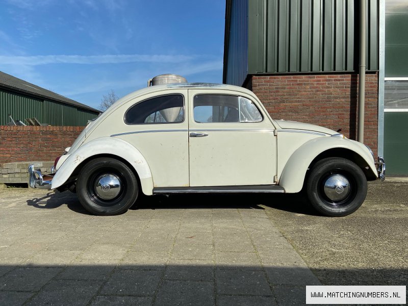 1964 - Volkswagen Beetle Pearl White