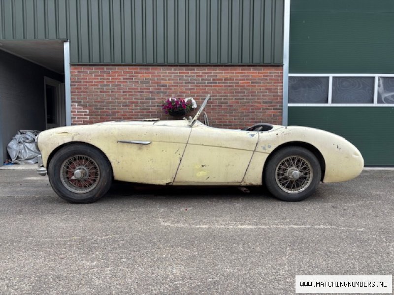 1954 - Austin Healey 100-4 BN1 Yellow