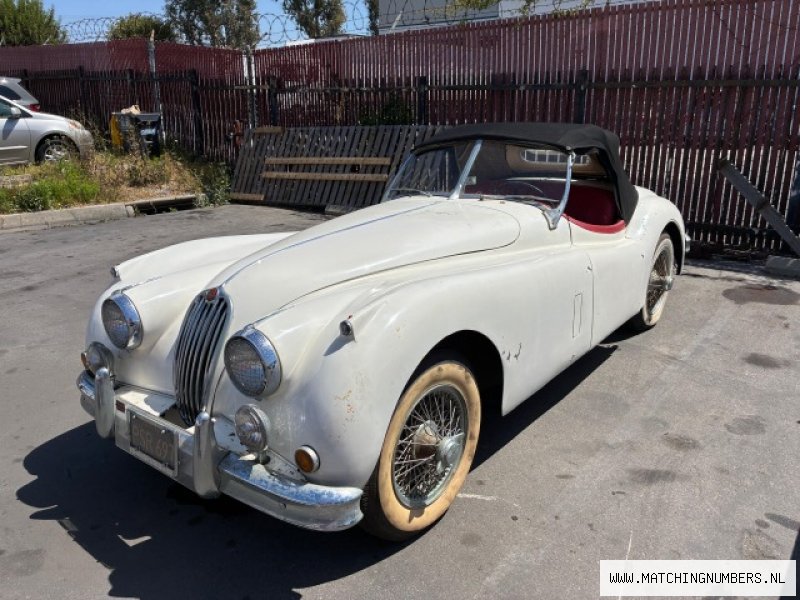 1956 - Jaguar XK140 Roadster (OTS) SE C-Type Head Cream