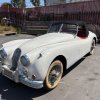 1956 - Jaguar XK140 Roadster (OTS) SE C-Type Head Cream